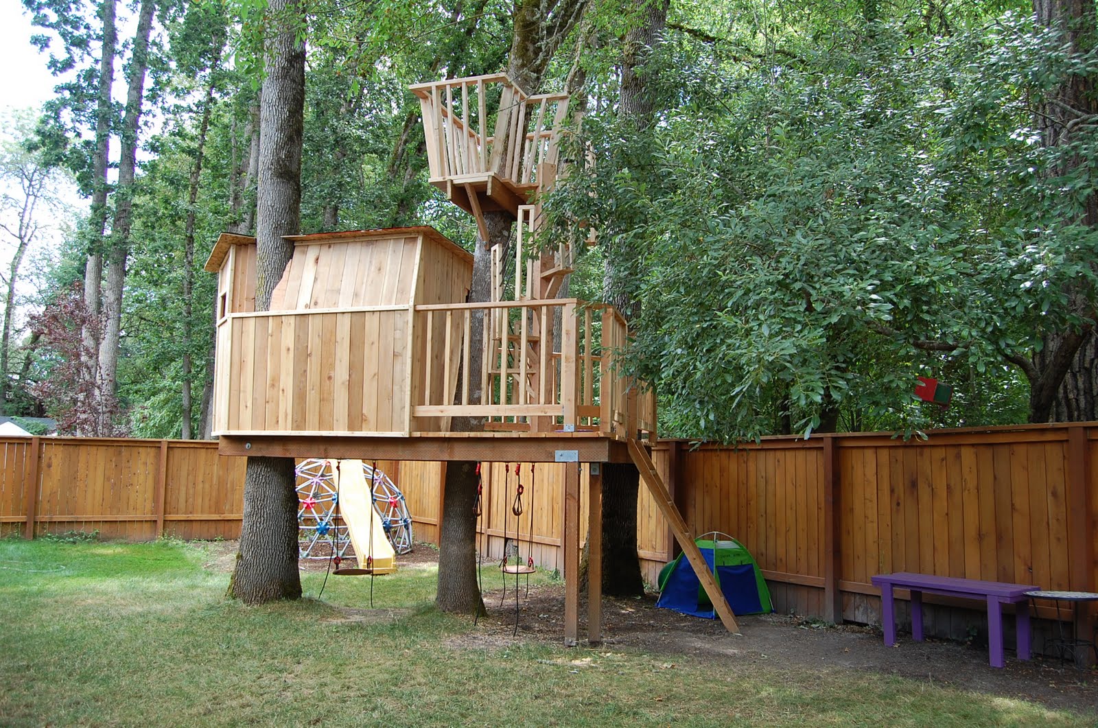 16 Luxury & Cool Tree House Designs That Forces You To Say WOW!