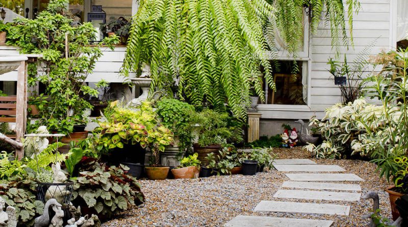 impressive Walkway Design