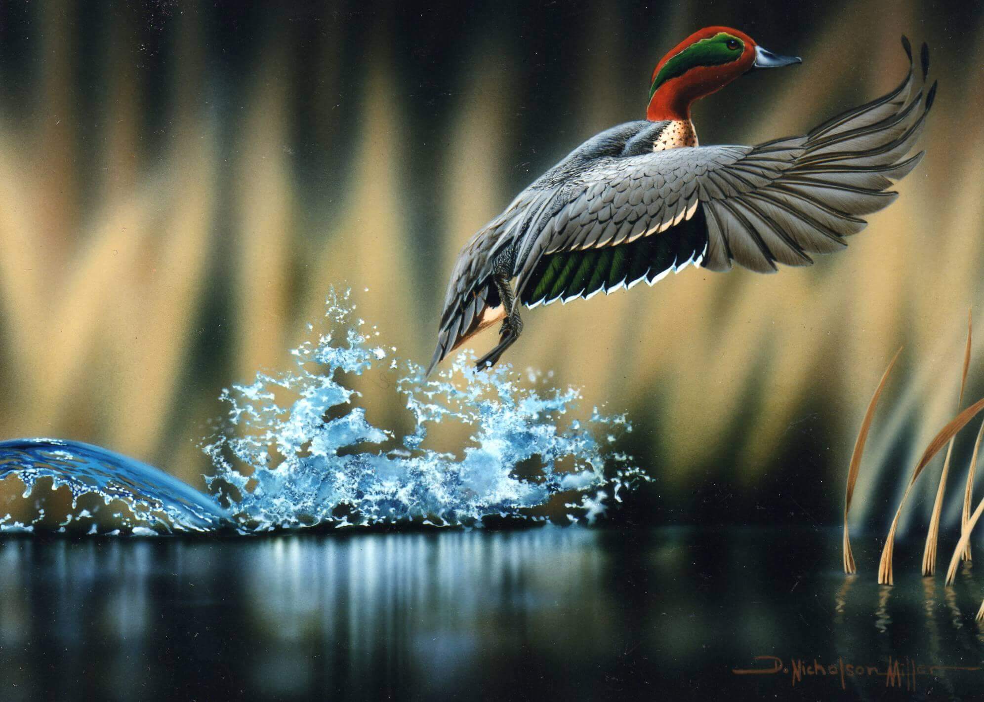 26 Best Wildlife Photography That Will Make You Speechless