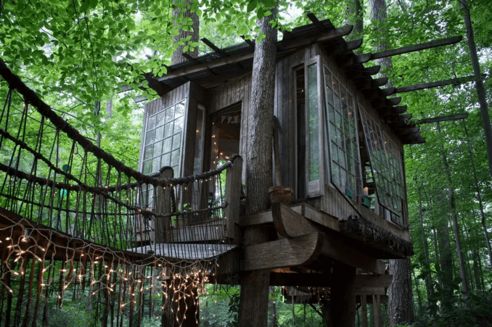 20 Amazing Tree houses You've Ever Seen In Your Life