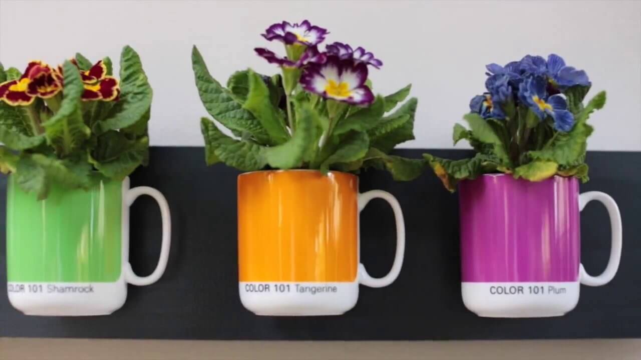 Flower Pot Craft Ideas