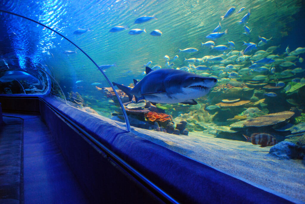 largest aquariums in the world