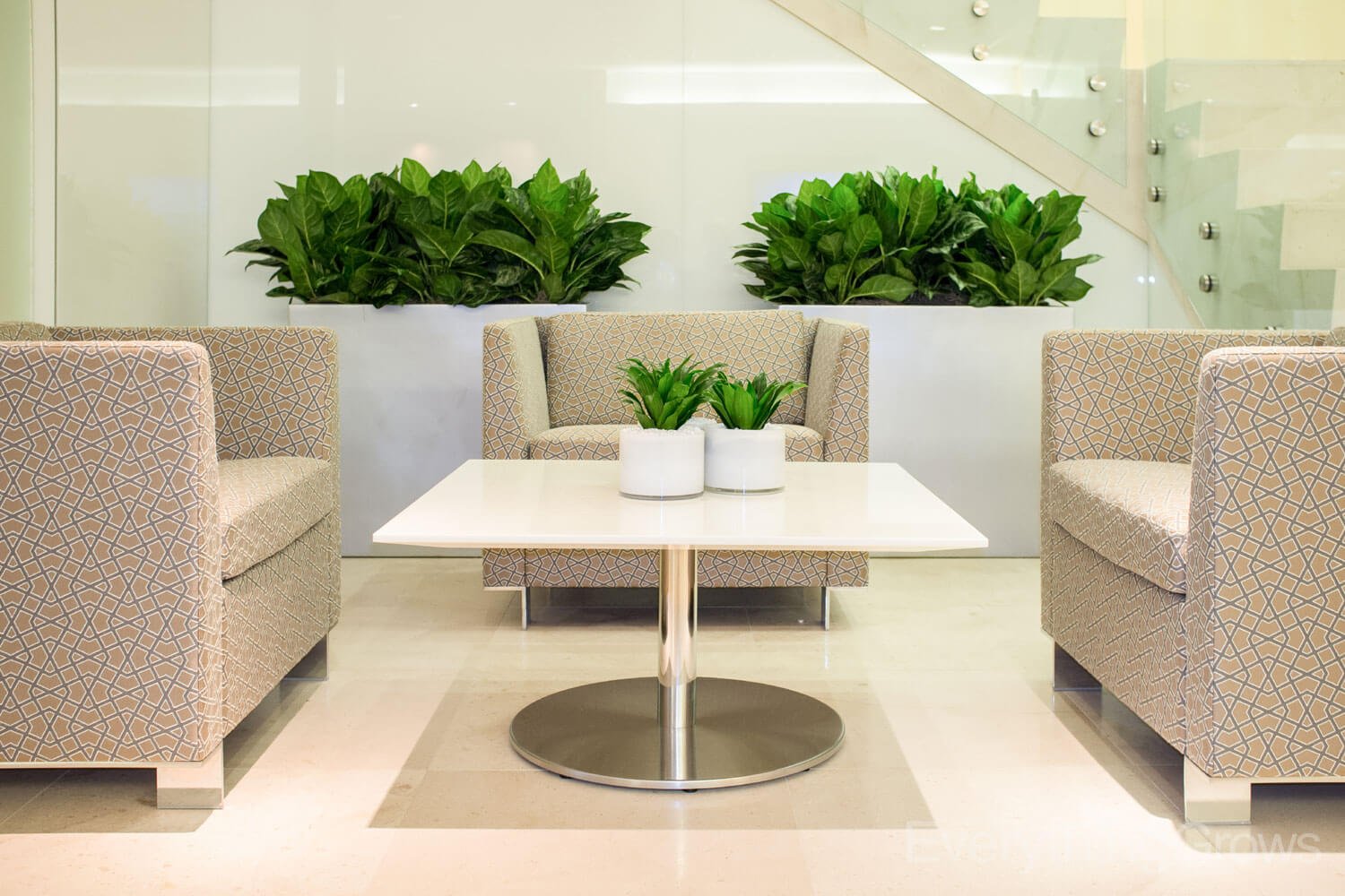 Office Interior Plant Design