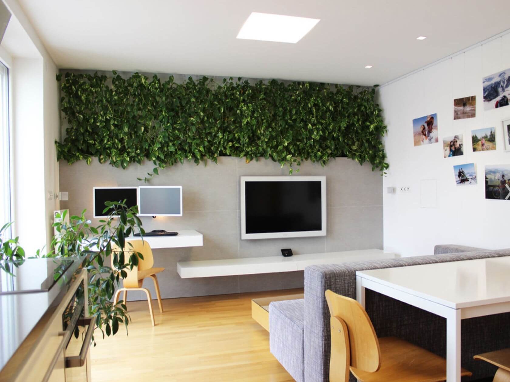 Office Interior Plant Design