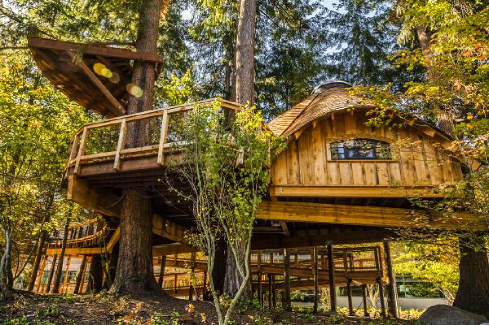  Treehouse  Architecture Top 16 Tree house  Ideas That Inspires You 