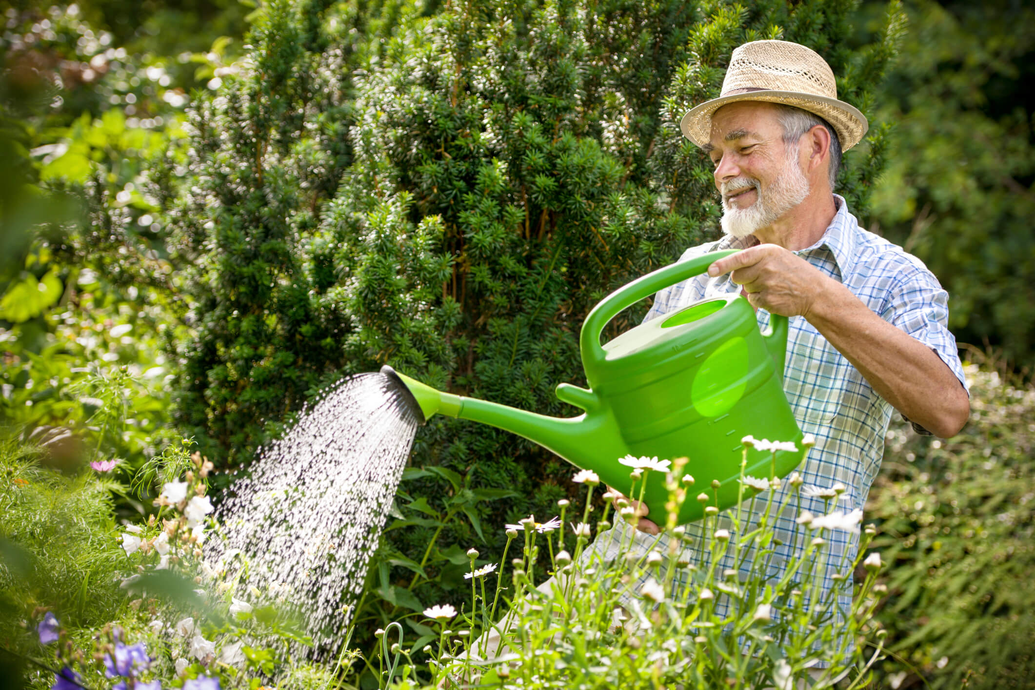 5 Tips On How To Water Your Garden Effectively