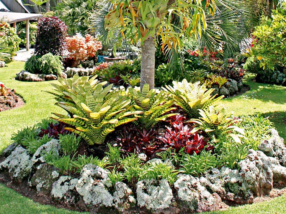 Make your Garden  Tropical  With These Tropical Garden Design  Ideas