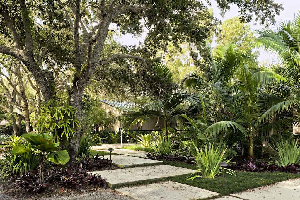 backyard tropical garden design