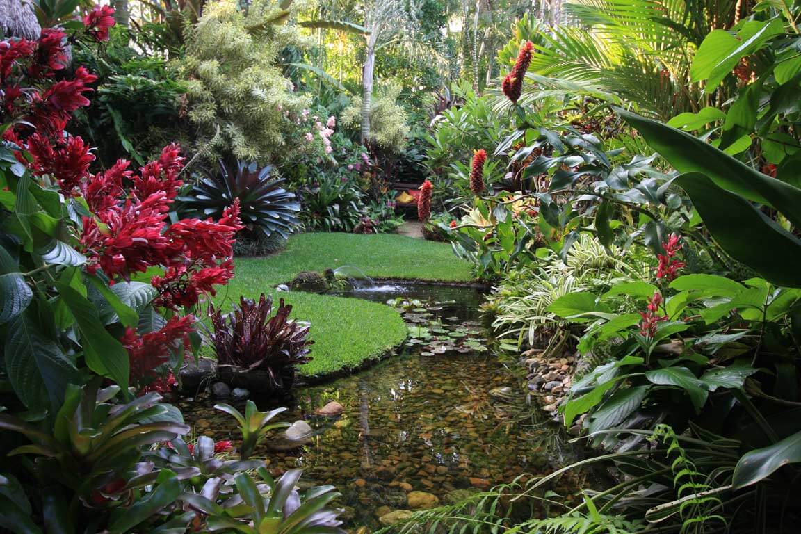 tropical gardens