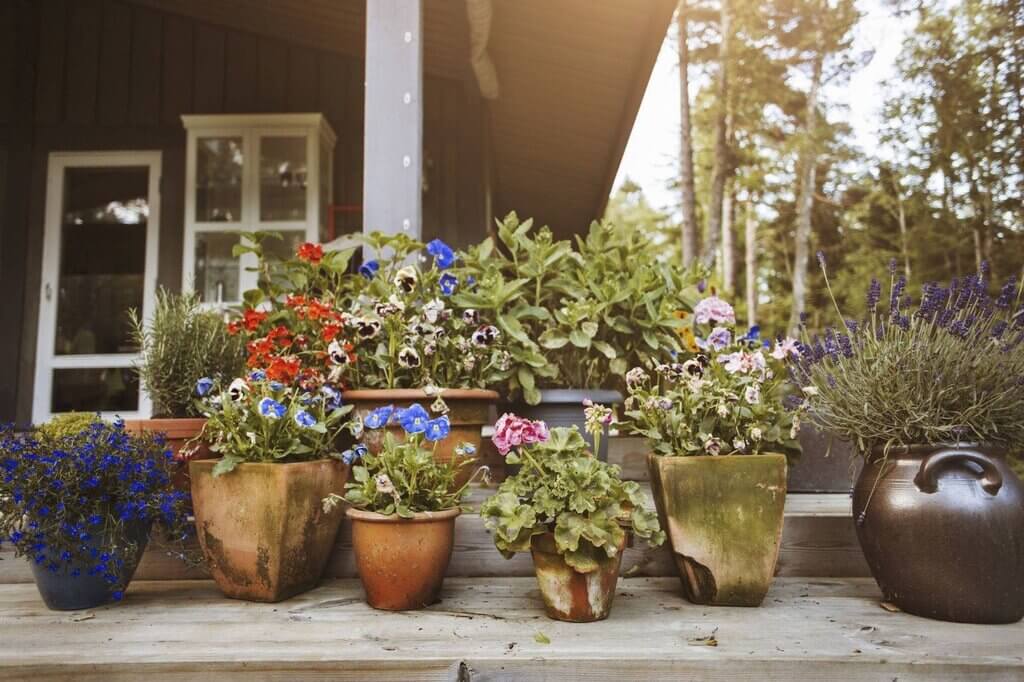 A Potted Low Maintenance Front Yard Landscaping