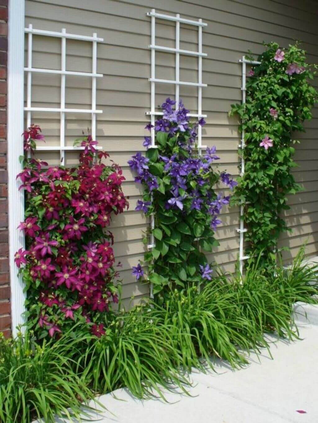 low maintenance landscaping ideas: Let them Climb up the Walls!