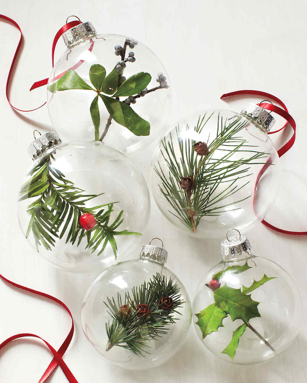 A group of glass ornaments with plants inside of them
