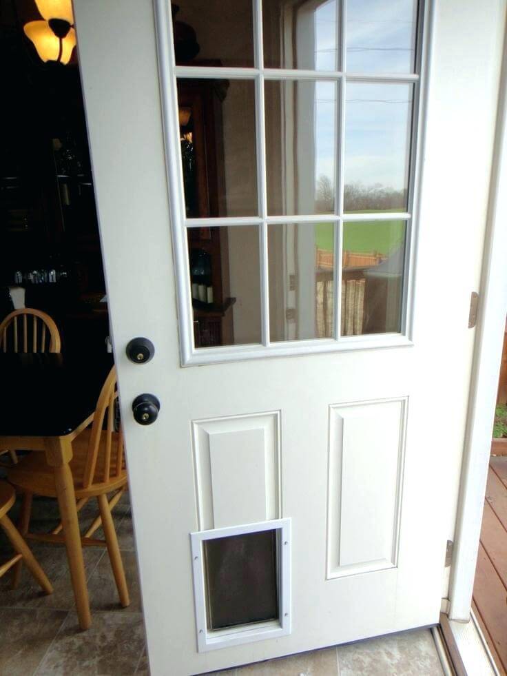 Doggy Doors : Know The Basics Before Getting Doors For ...