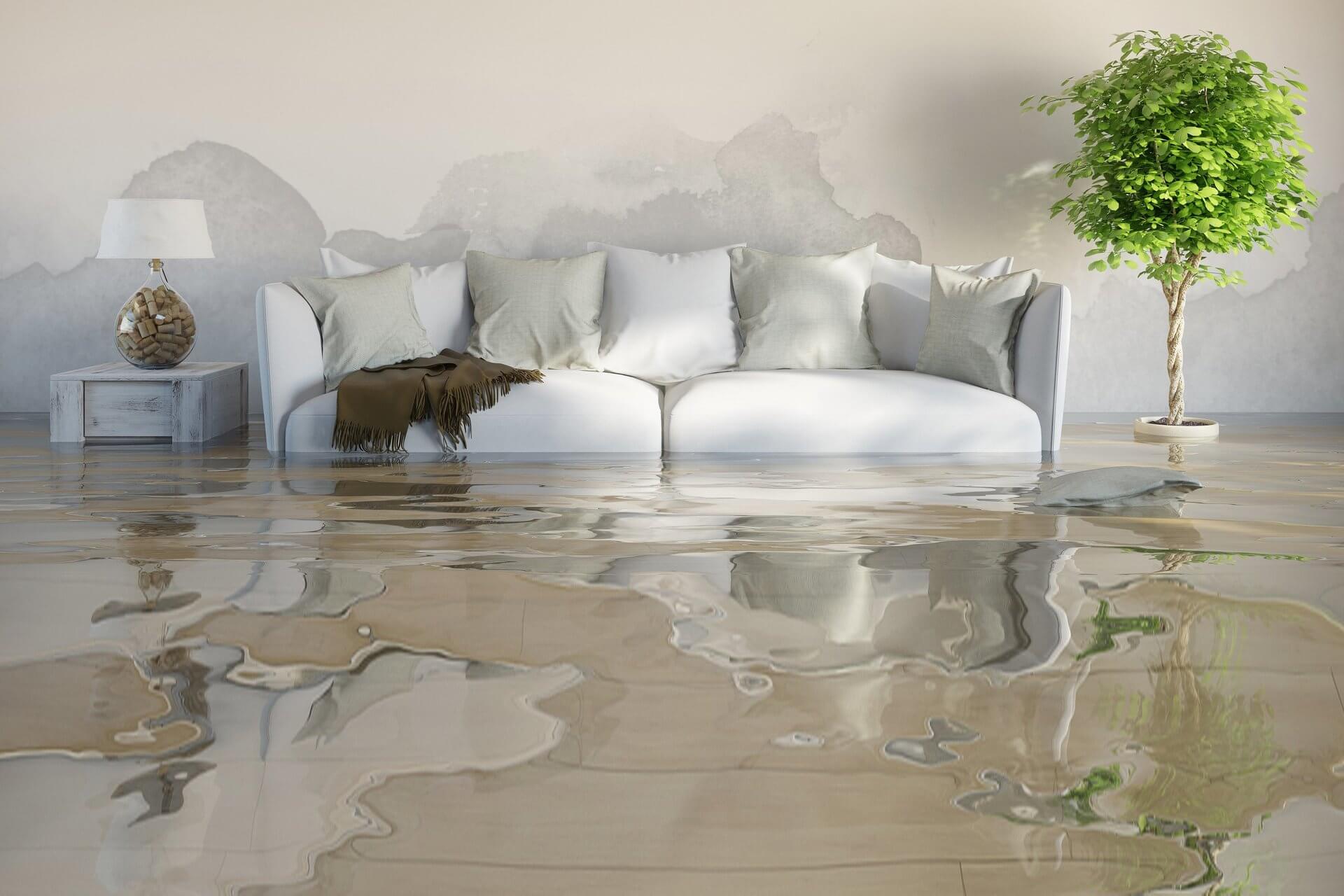 steps to deal with water damage