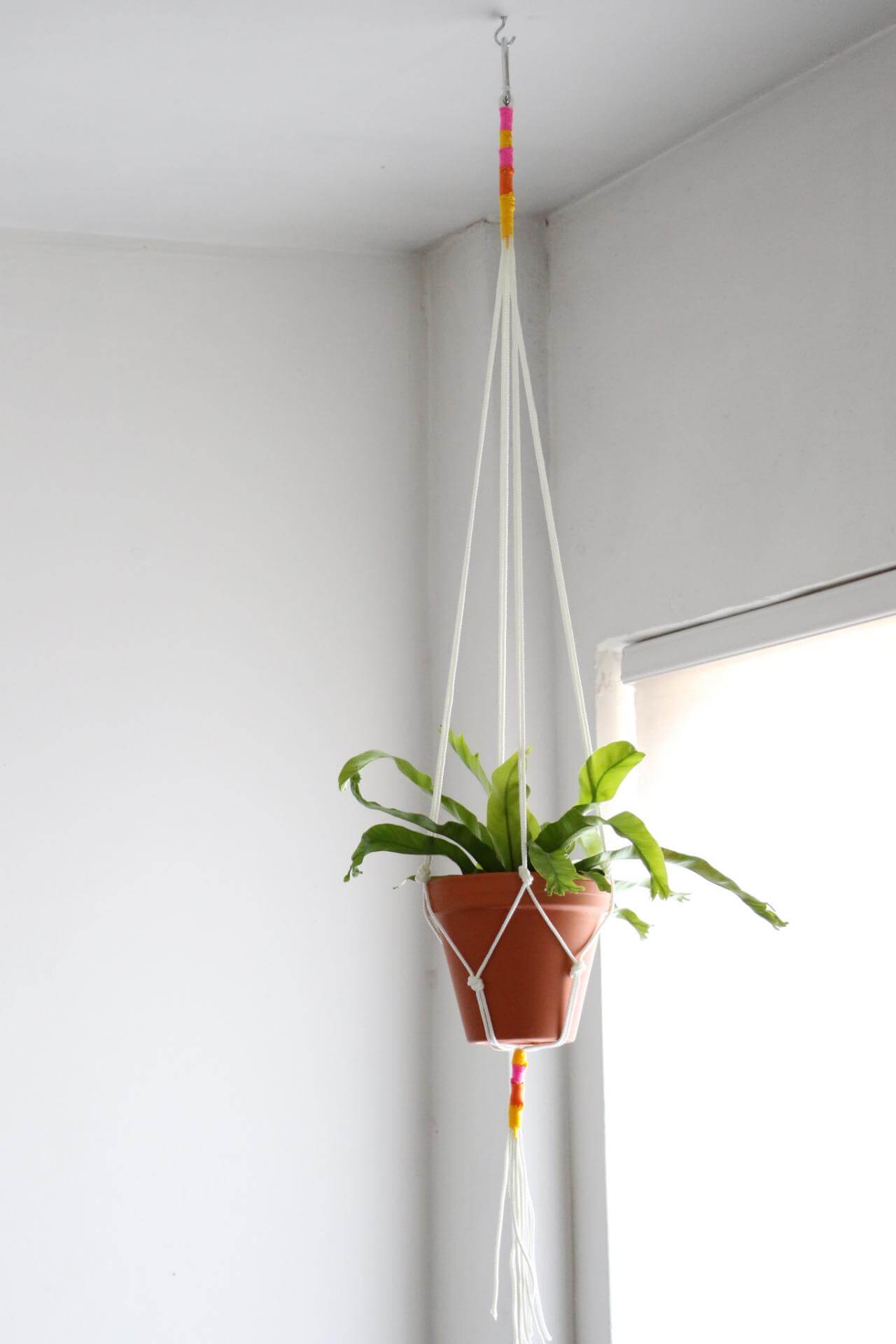 diy hanging planters