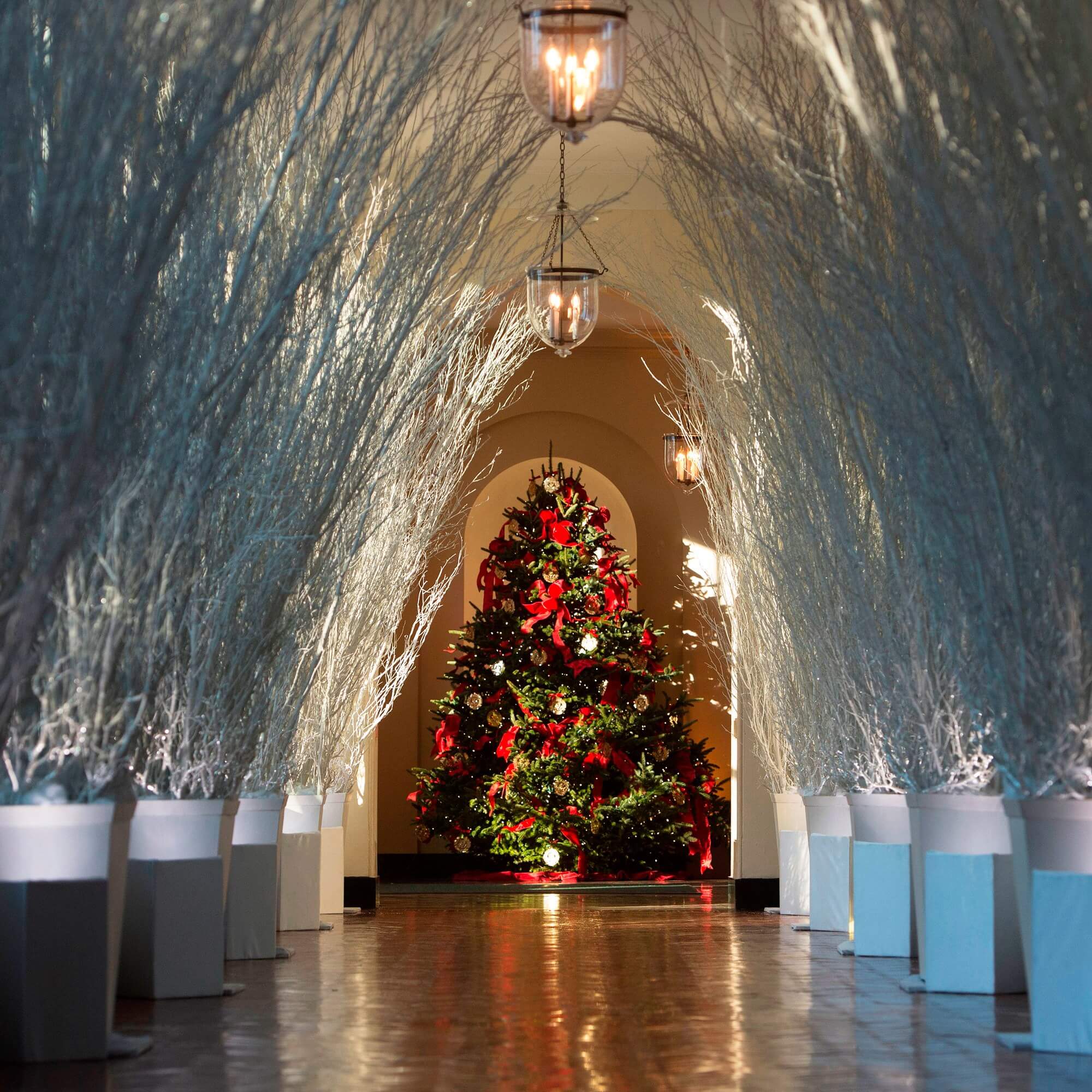 Unique Decorated Christmas Houses 