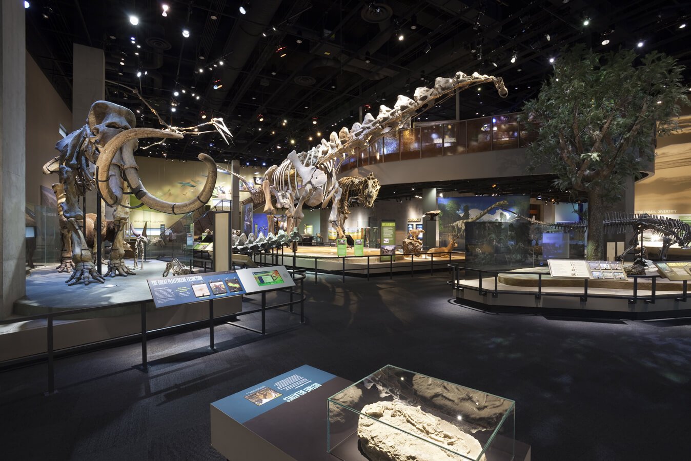 perot museum of nature and science