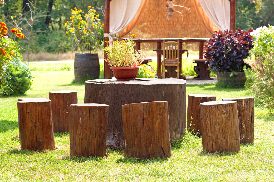 decorate your garden with tree stumps