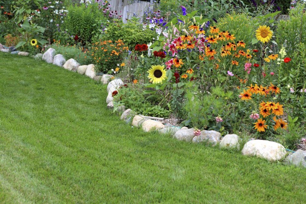 Garden Edging Ideas