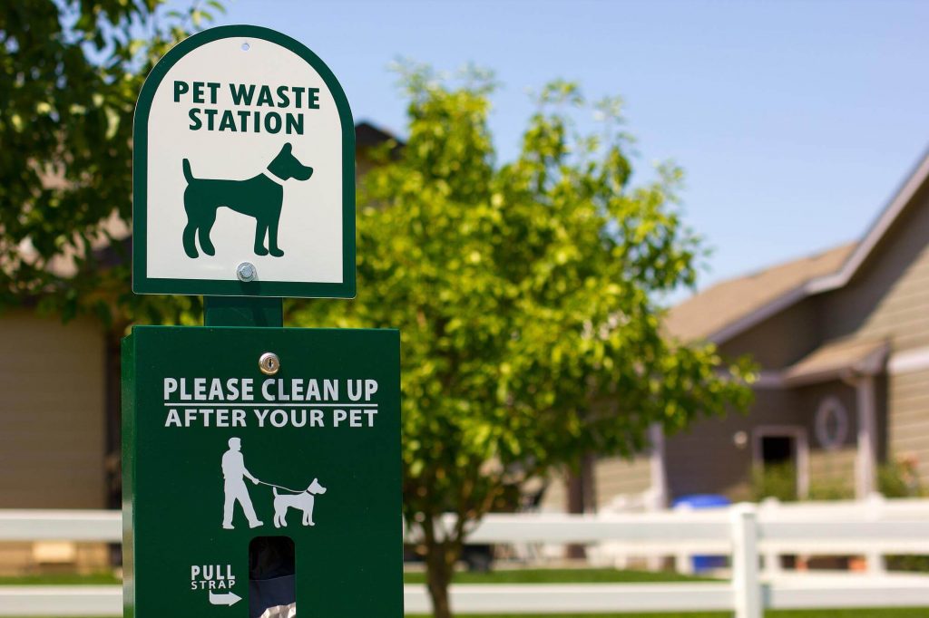 A Dog Park with Must-Have Equipment