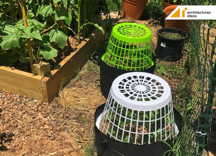 Plant Protection Ways