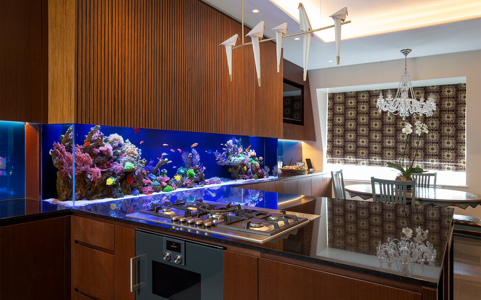 4 Best Aquarium Ideas For Home Architecture Ideas