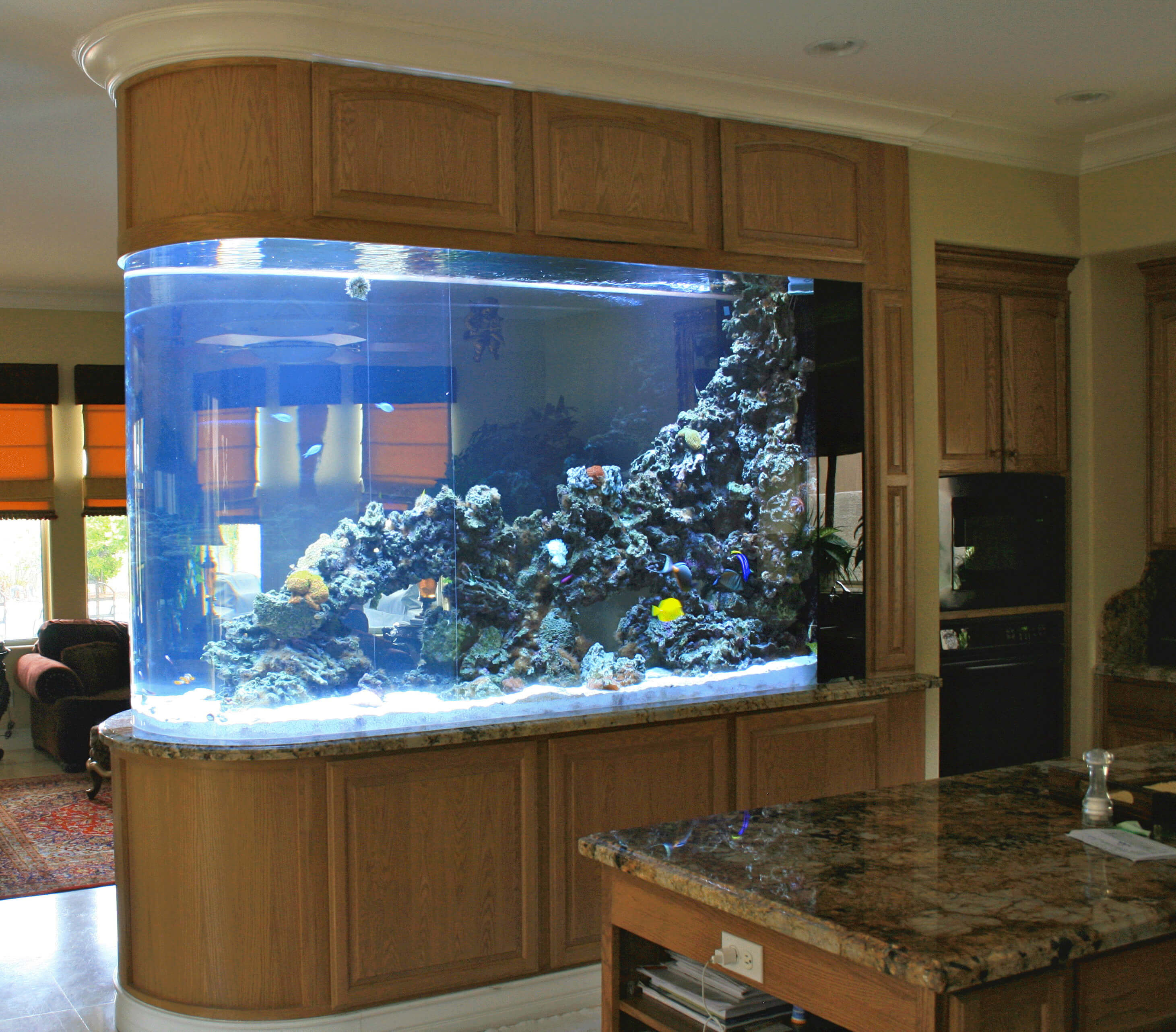 Beautiful Aquarium Custom Aquarium Home Aquarium House Design - Reverasite