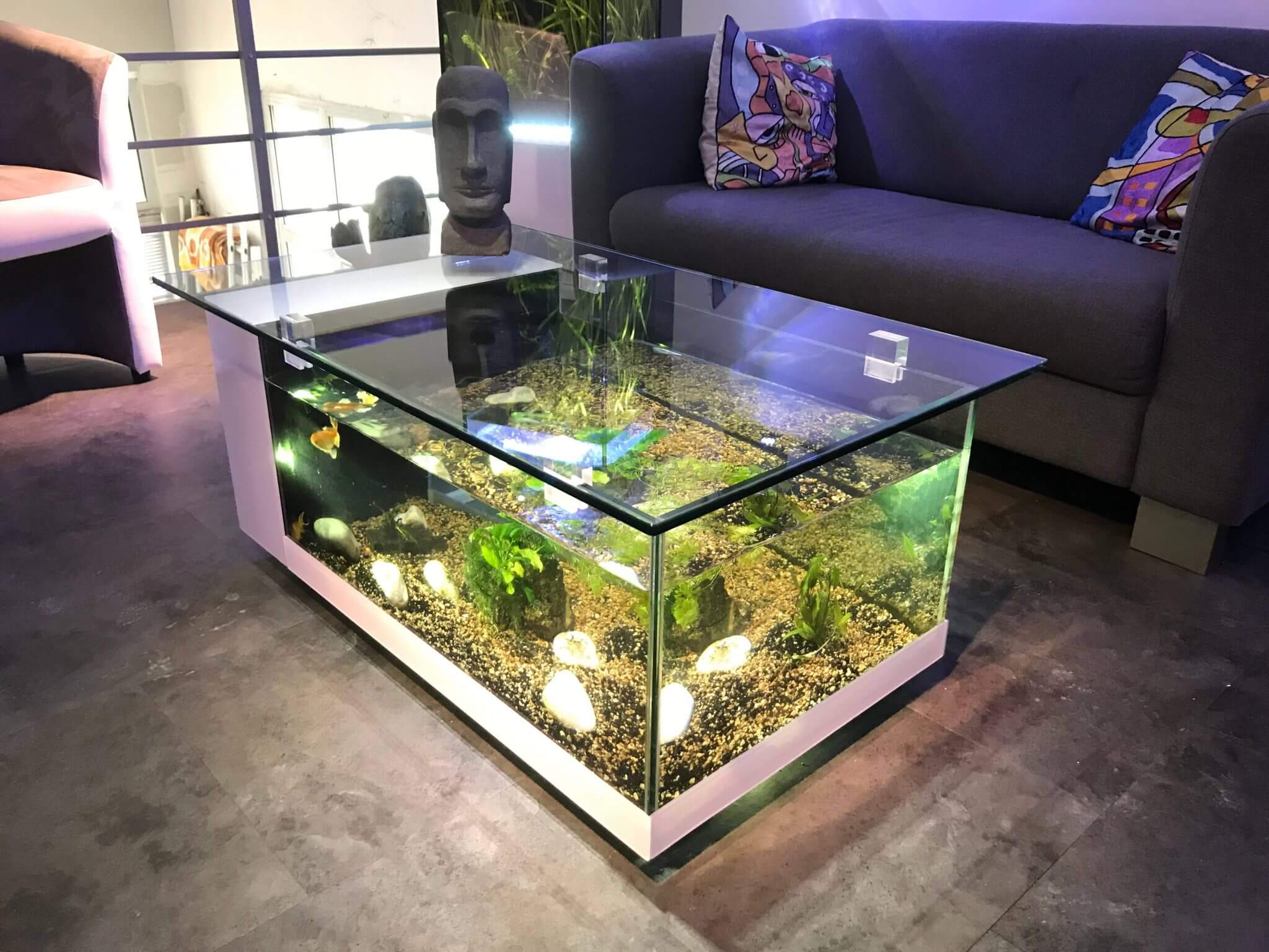 4 Best Aquarium Ideas For Home   Aquarium Ideas For Home4 