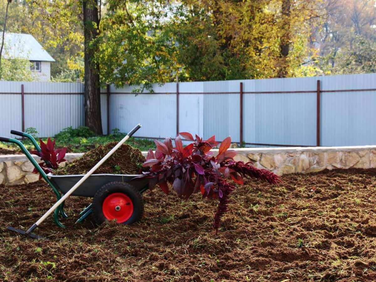 Garden Tips: Work on Your Soil