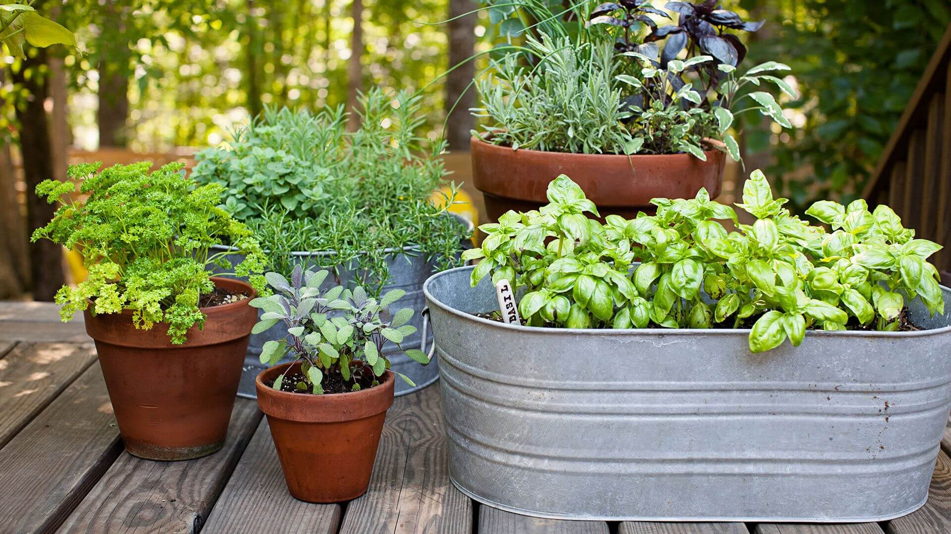 unique garden ideas: Herbs for a More Tasteful Place