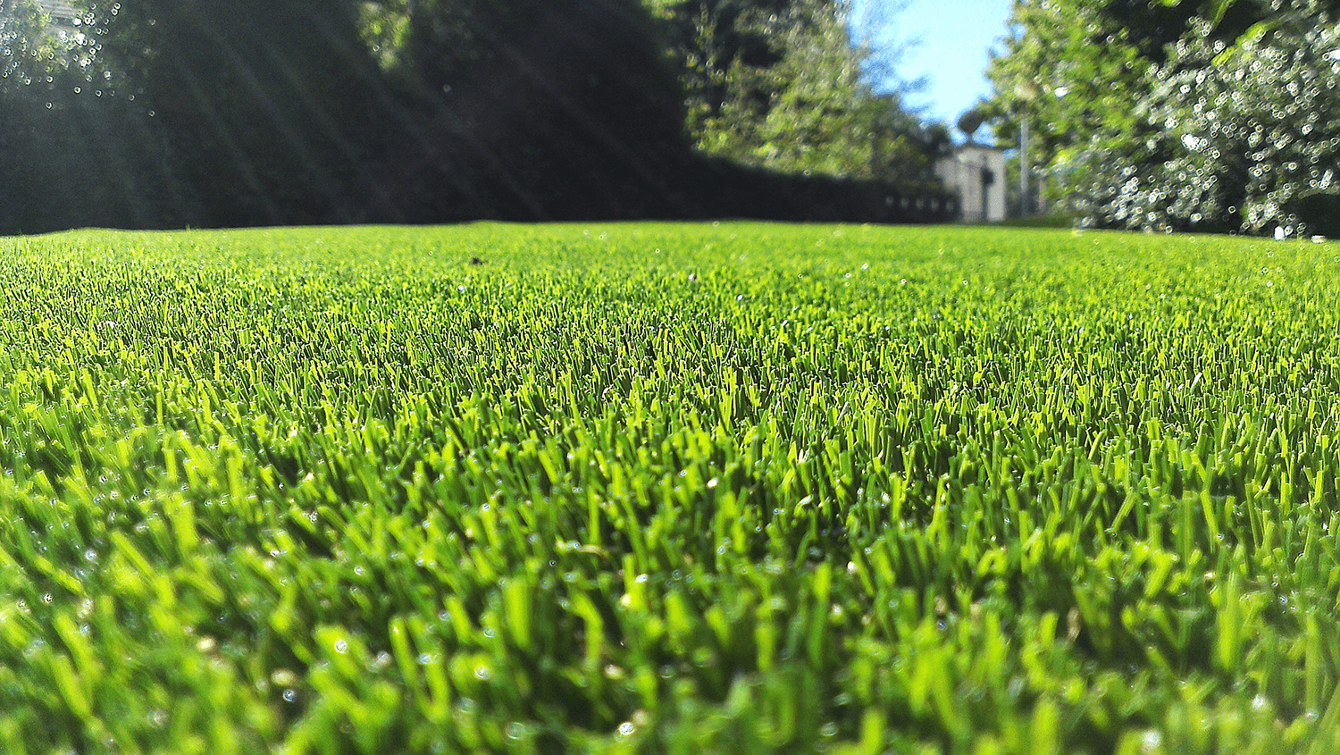 synthetic grass Adelaide