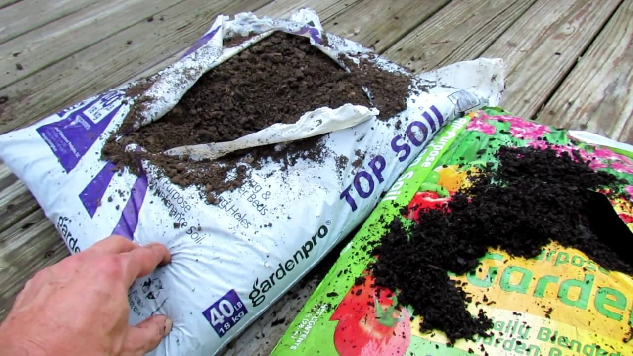  Difference Between Top Soil and Garden Soil