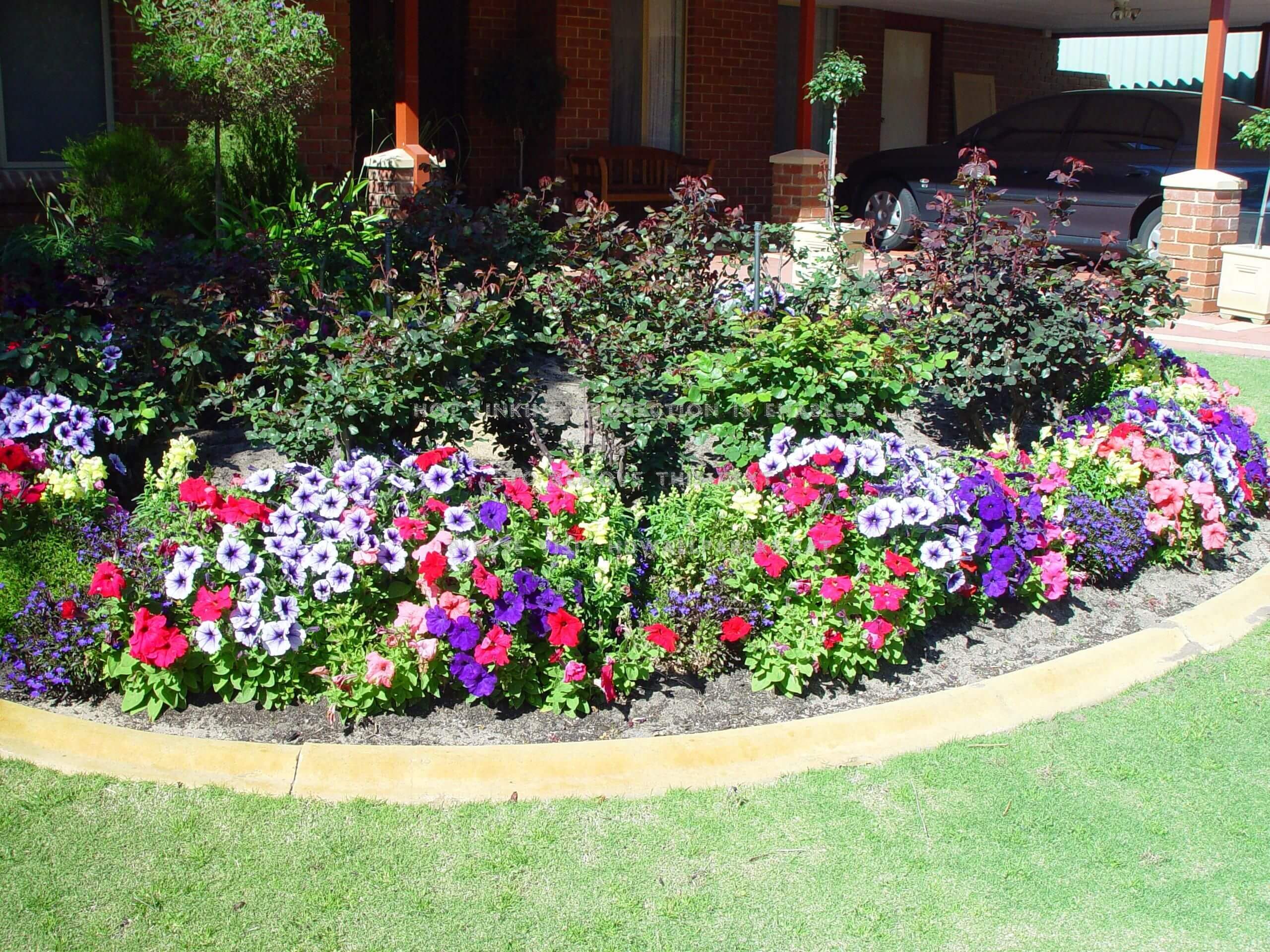 A flower bed in front of a house

