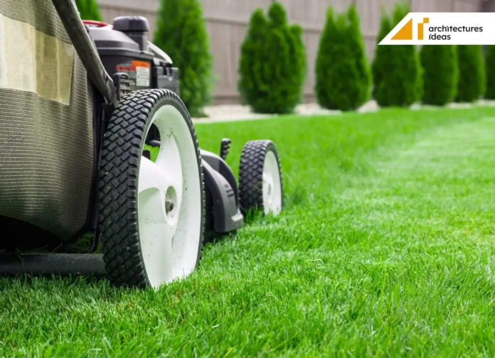 Care Of Lawn