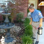 DIY Pest Control Ideas