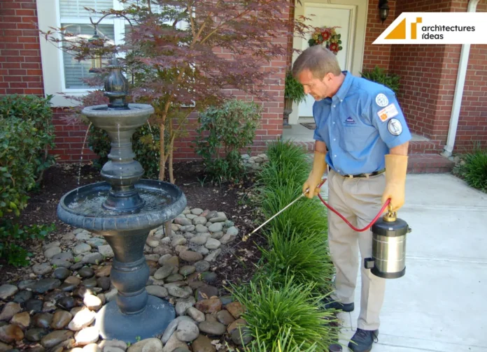 DIY Pest Control Ideas