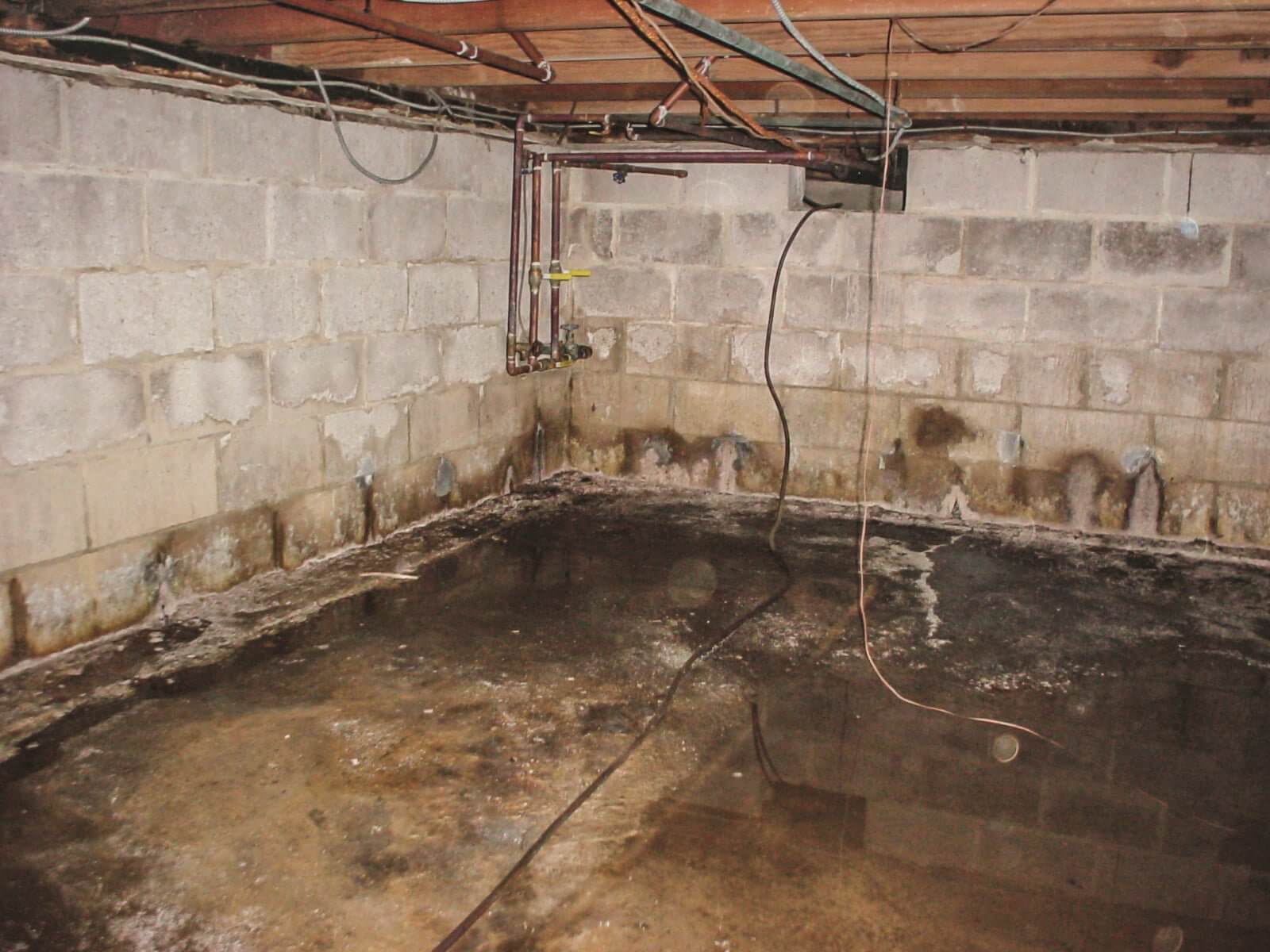 How can I get rid of the damp basement smell