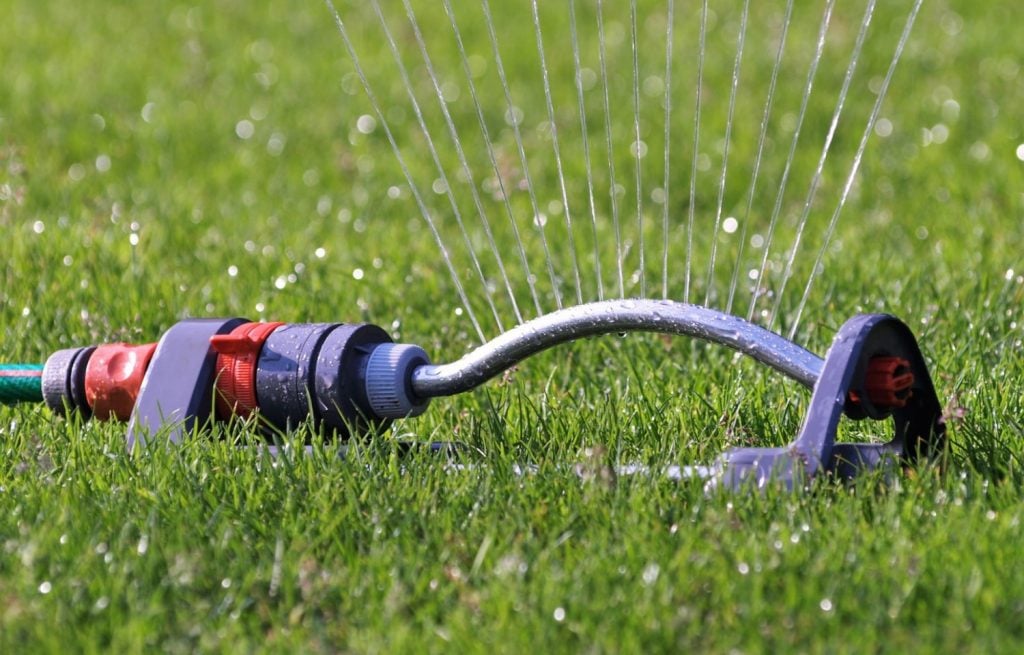 Gardening Hacks Conserve Water