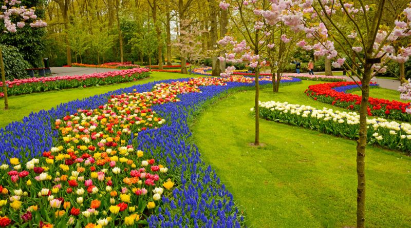 DIY Garden Ideas