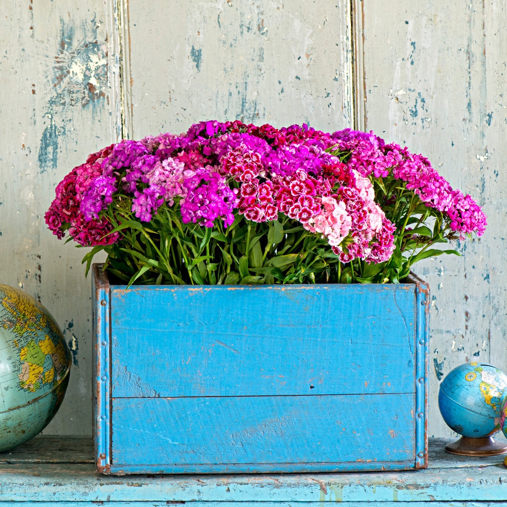 7 DIY Garden Ideas: Budget-Friendly Ideas to Try out