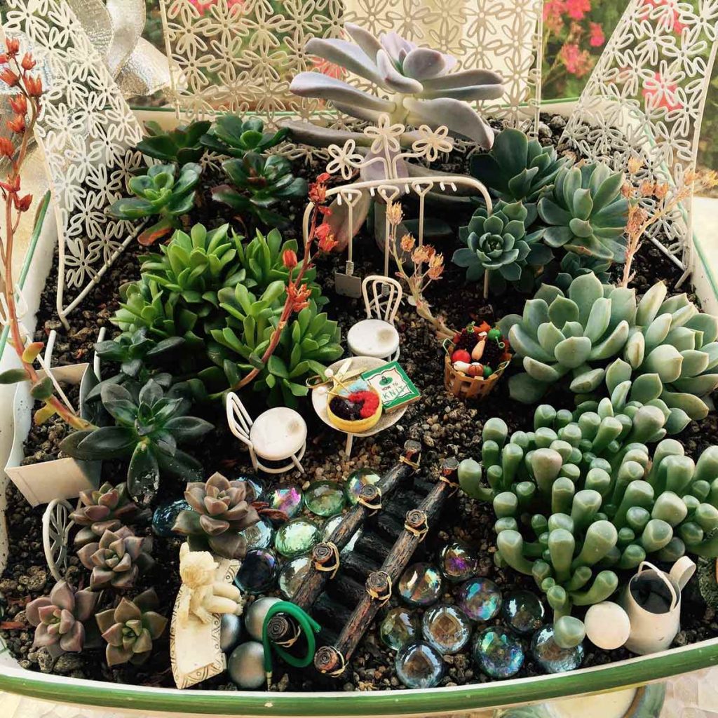 fairy garden ideas