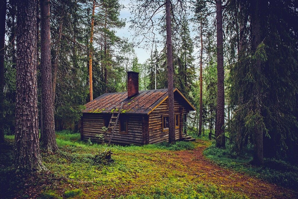  Cabin rental property in the woods