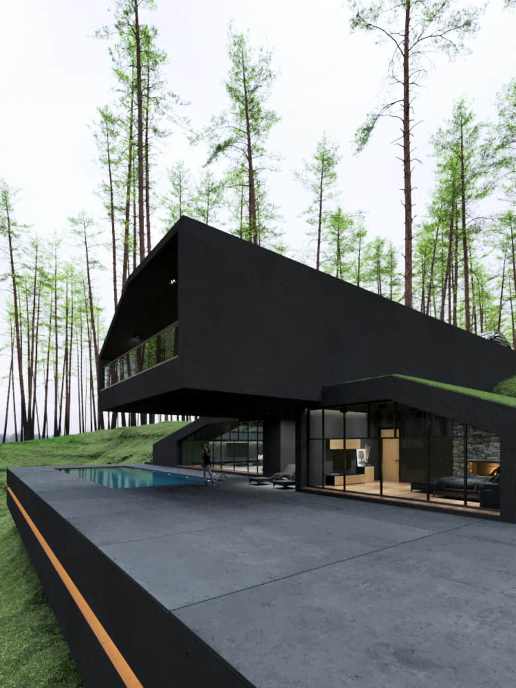 Black villa surrounded by pine trees 