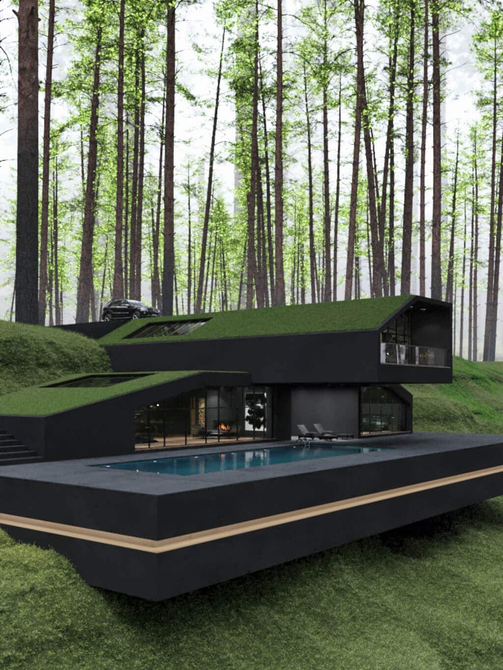 luxurious black villa  surrounded by nature