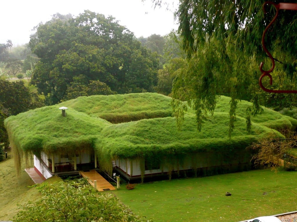 green roof concept