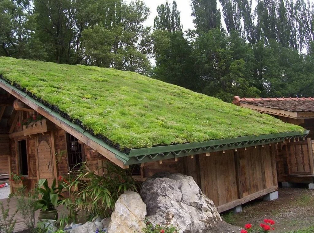 How does the green roof work