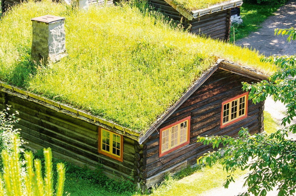 Disadvantages of using the green roof in your projects
