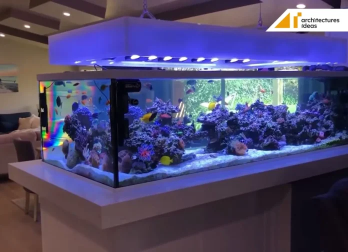 Aquarium In The House