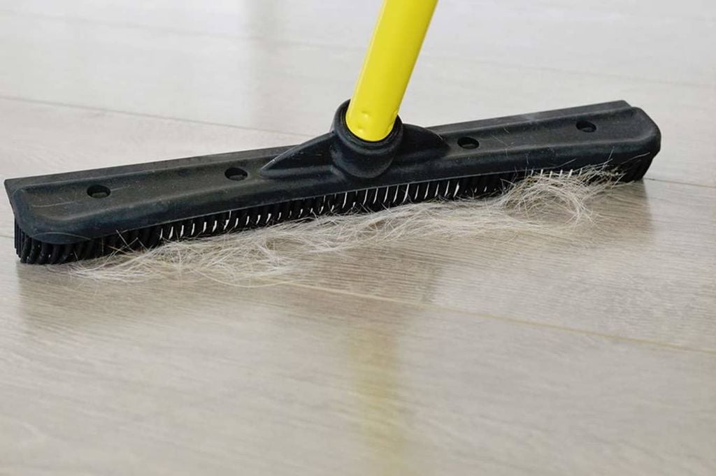 Cleaning Your Carpet with Squeegees for Pet Hair