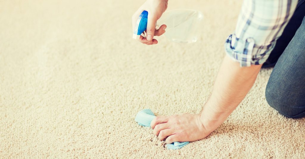 Blotting to Cleaning Your Carpet 